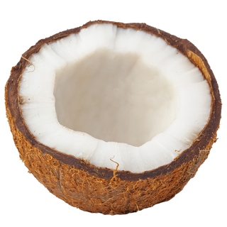 coconut