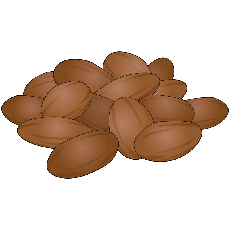 illustration of a pile of murumuru nuts